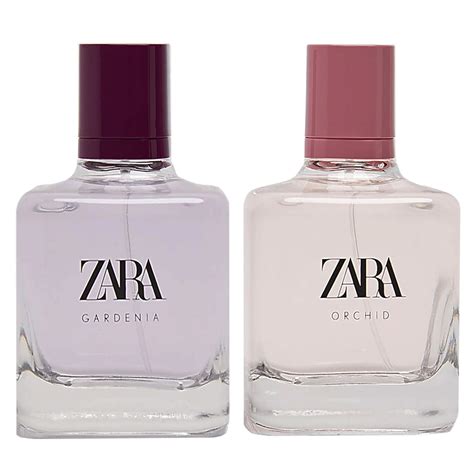 gardenia zara perfume price